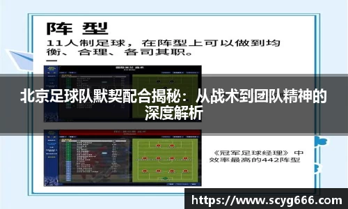 vsport体育
