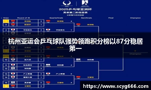 VSport胜利因您更精彩
