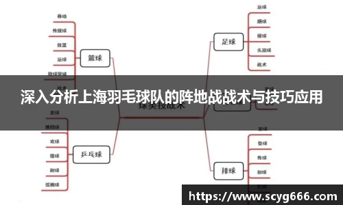 VSport胜利因您更精彩