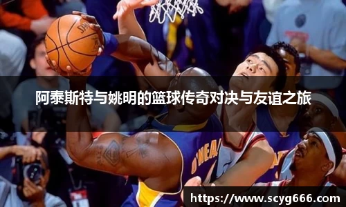 VSport胜利因您更精彩