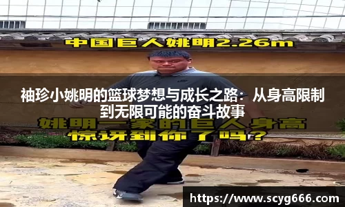 VSport胜利因您更精彩