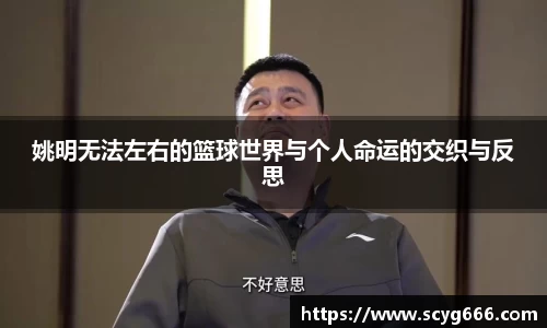 Vsport胜利