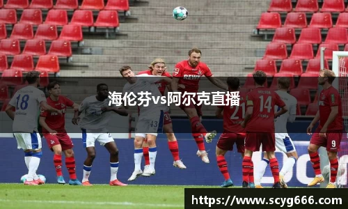 VSport胜利因您更精彩