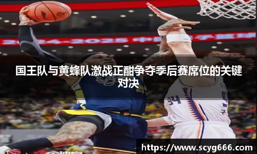 国王队与黄蜂队激战正酣争夺季后赛席位的关键对决