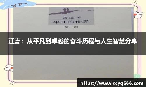 VSPORT官网