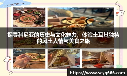 VSport胜利因您更精彩